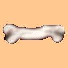 bone_th.jpg 1.8K