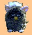 furby_th.jpg 3.8K