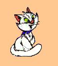 kitten_th.jpg 2.4K