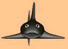 sharky_th.jpg 2.3K